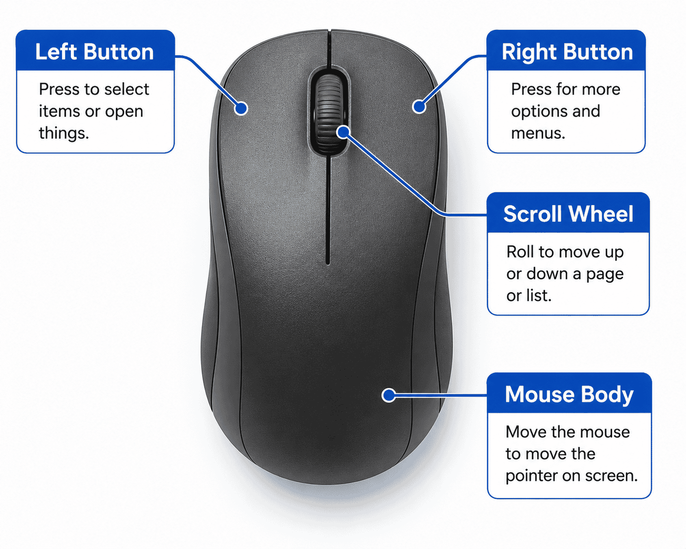 Diagram showing the left button, right button, scroll wheel and body of a computer mouse.