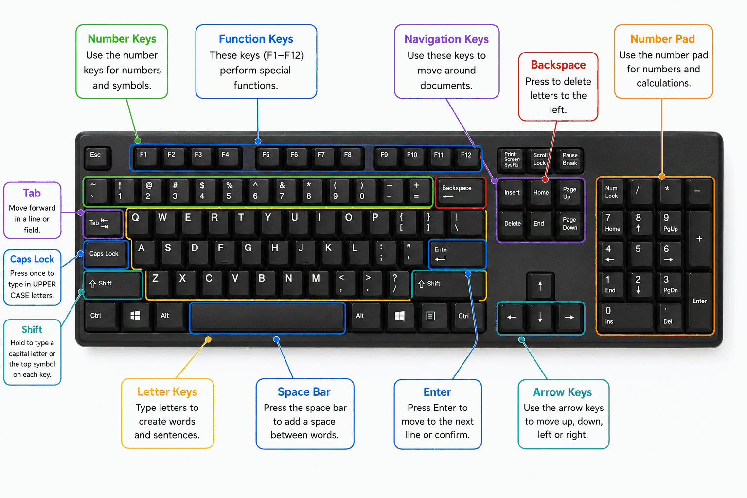 Diagram showing the main sections and important keys of a computer keyboard.