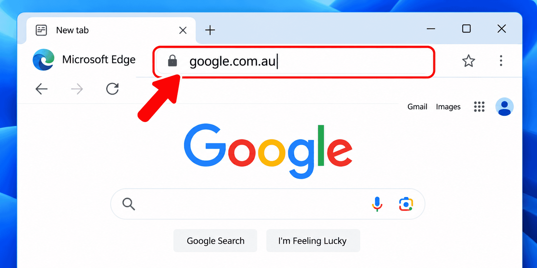 Windows 11 Edge address bar showing google.com.au.
