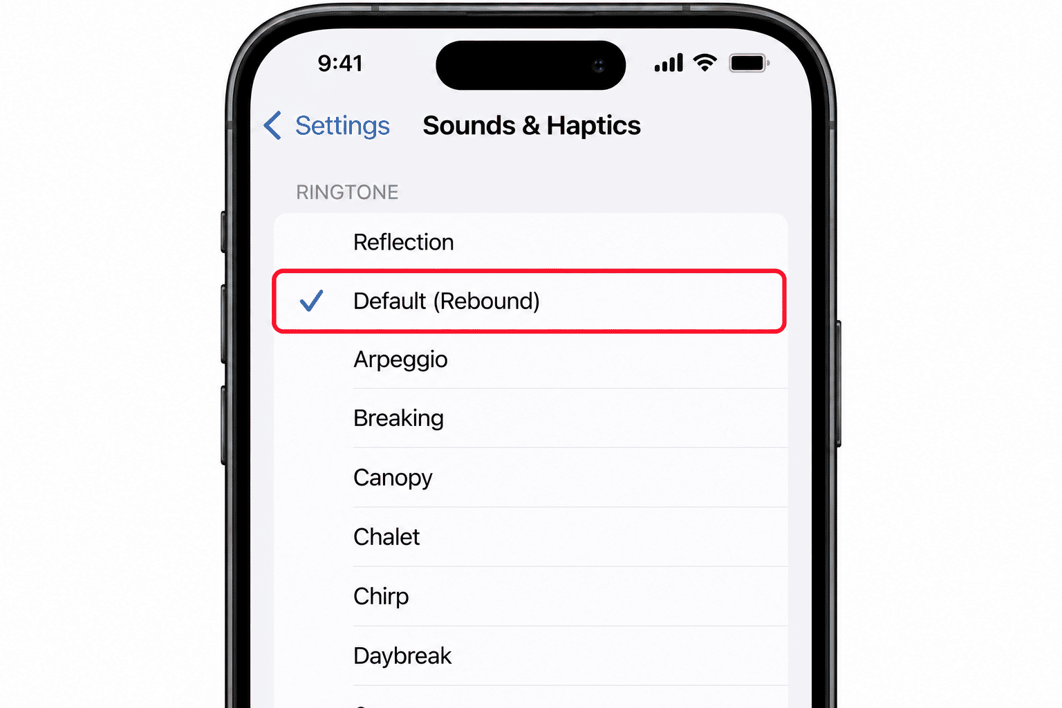 xample Settings screen with several choices and one option selected.